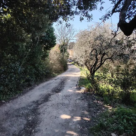 Campernellanaturainfirenze خيمة فخمة